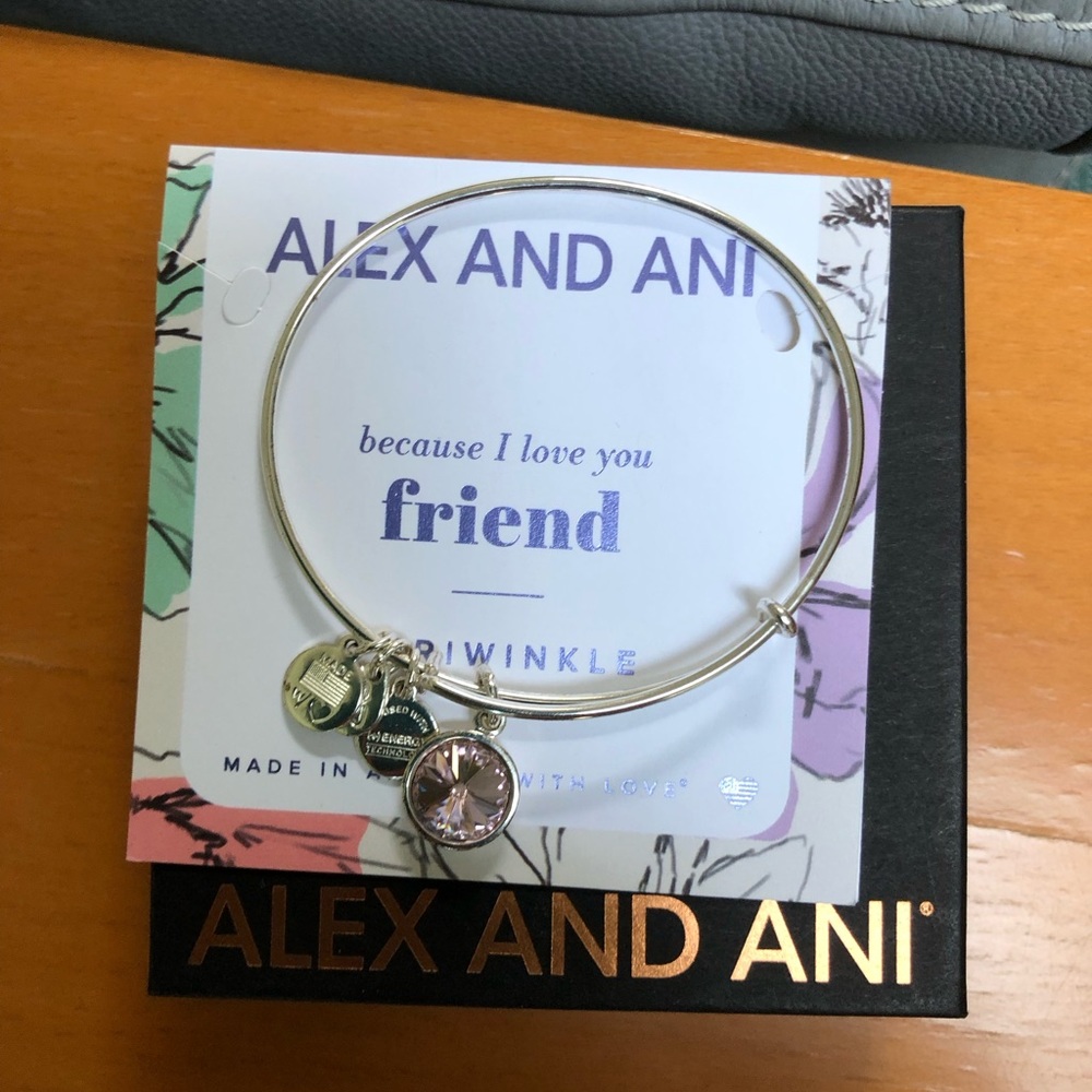 Alex and Ani periwinkle charm bracelet